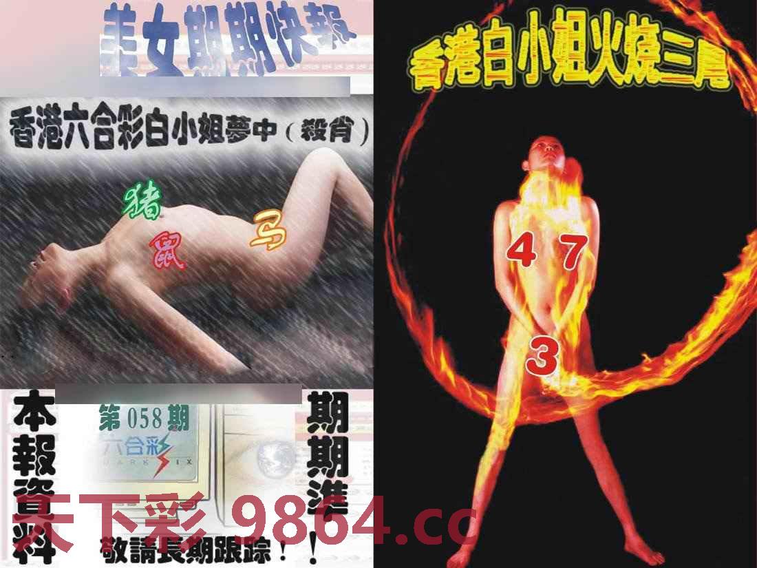 环球美女特码报